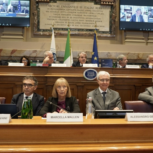 Cnel presentazione