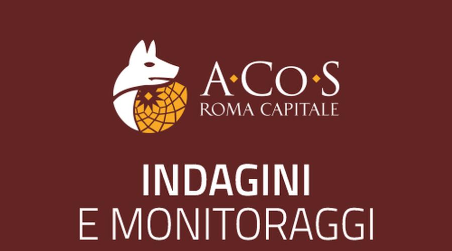 Monitoraggio Openbus 2025