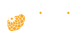 ACoS - Agenzia per la Qualità e il Controllo dei Servizi Pubblici di Roma Capitale